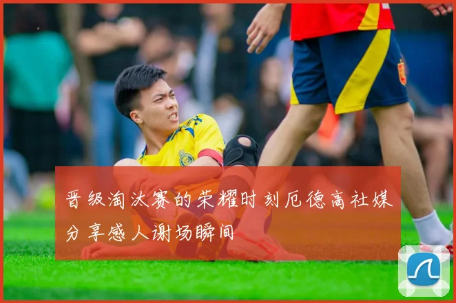 晋级淘汰赛的荣耀时刻厄德高社媒分享感人谢场瞬间