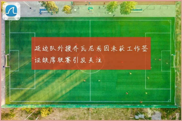 延边队外援乔瓦尼或因未获工作签证缺席联赛引发关注