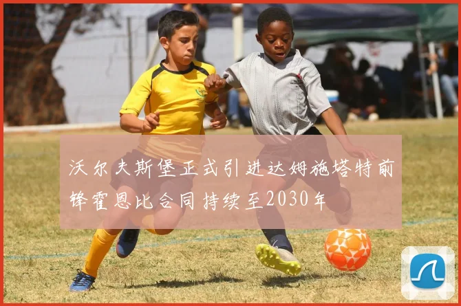 沃尔夫斯堡正式引进达姆施塔特前锋霍恩比合同持续至2030年